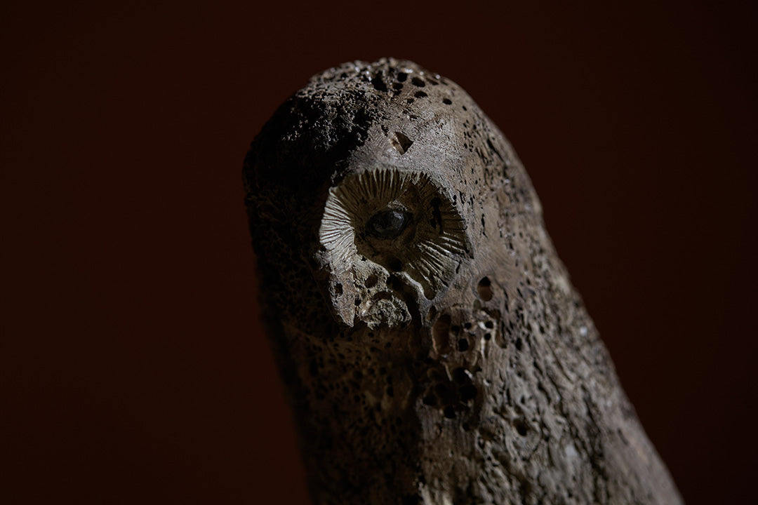 水田典寿,雨跡/AMART,Noritoshi Mizuta