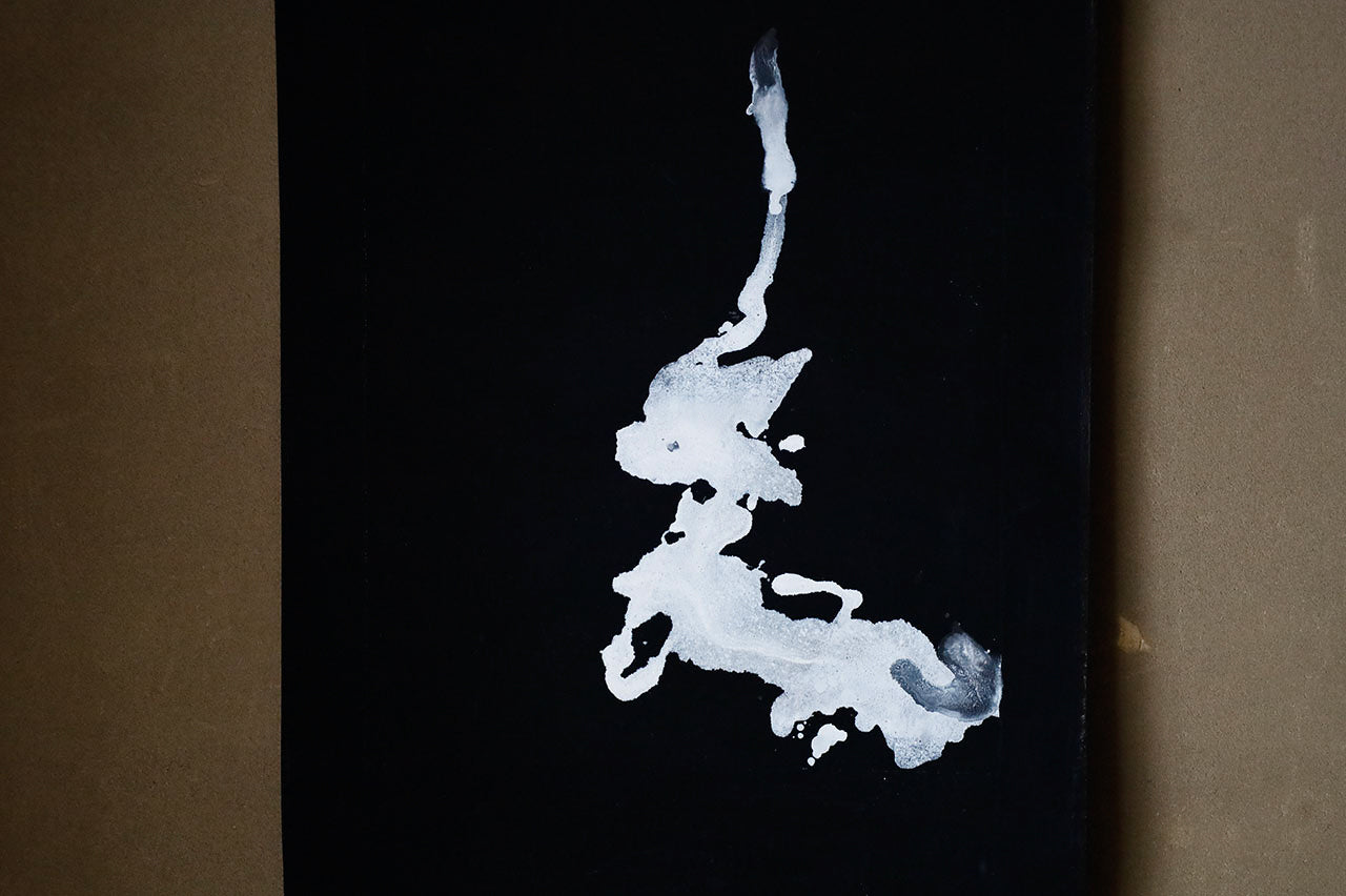 WA-4●領域 掛軸 RYOIKI D