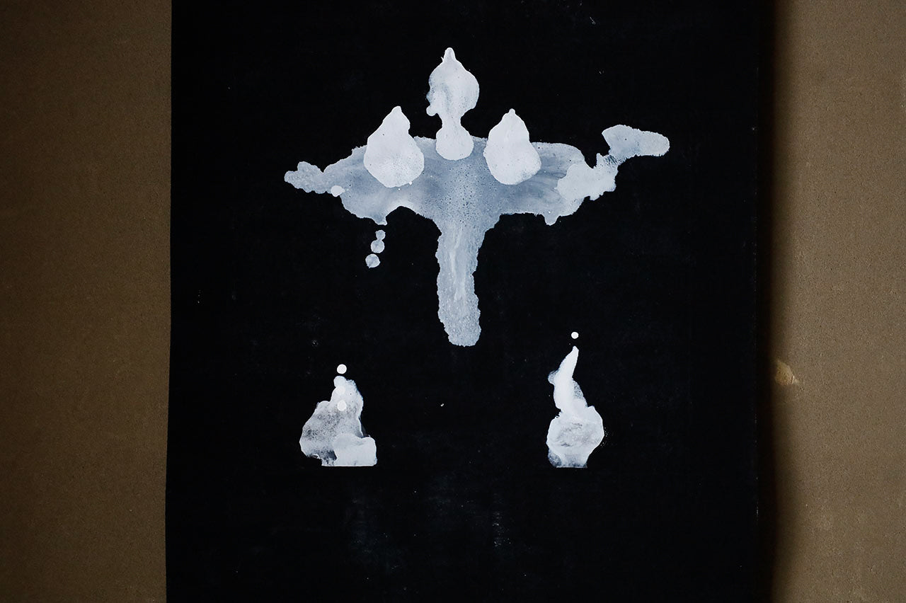 WA-4●領域 掛軸 RYOIKI E