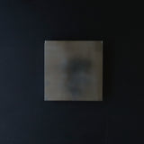 tayo スイッチカバー中