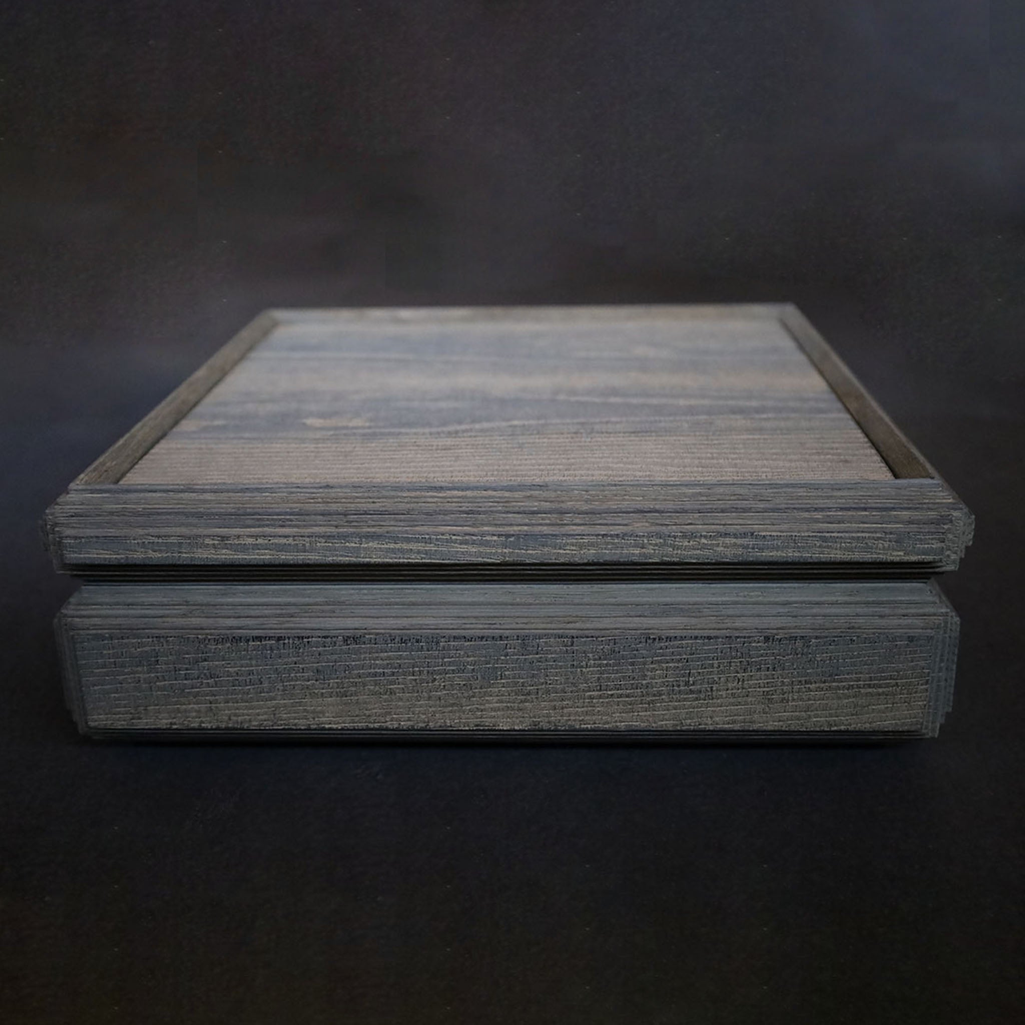 ●26-SD-18 BRION BOX 鼠