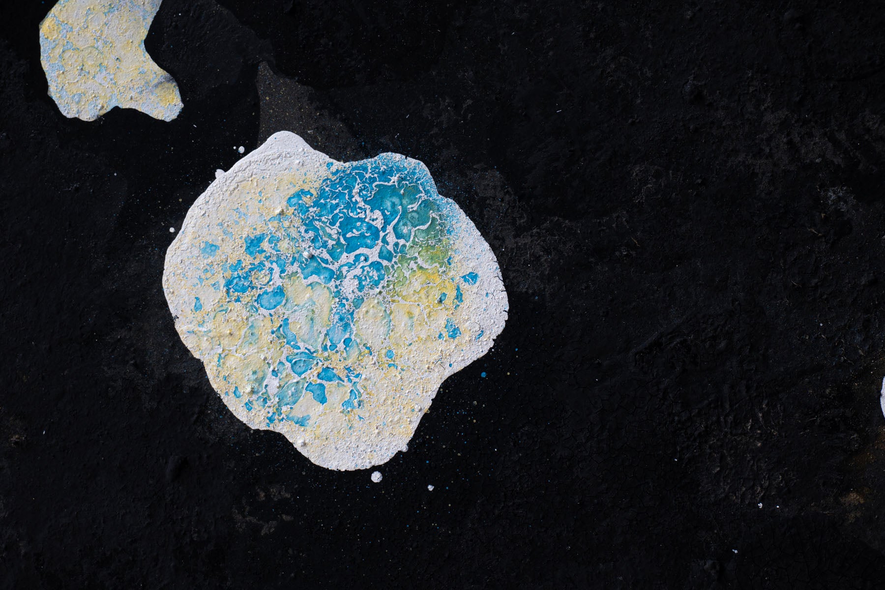 ハタノワタル 領域20号 55984995