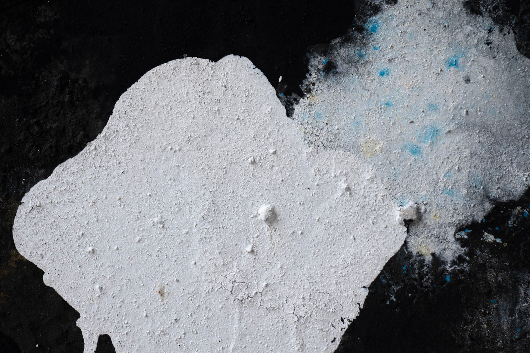 ハタノワタル 領域20号 55984995