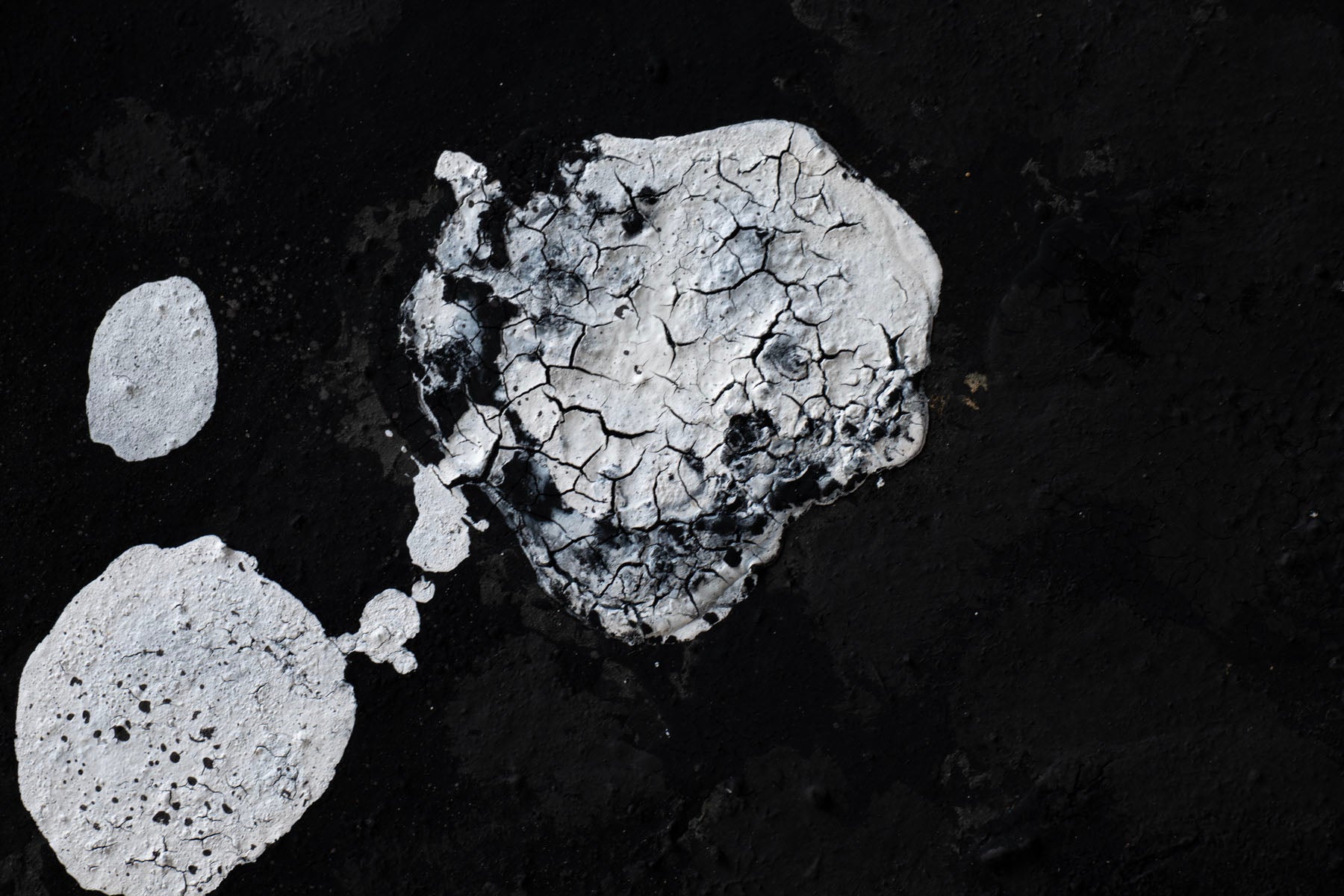 ハタノワタル 領域20号 55984995