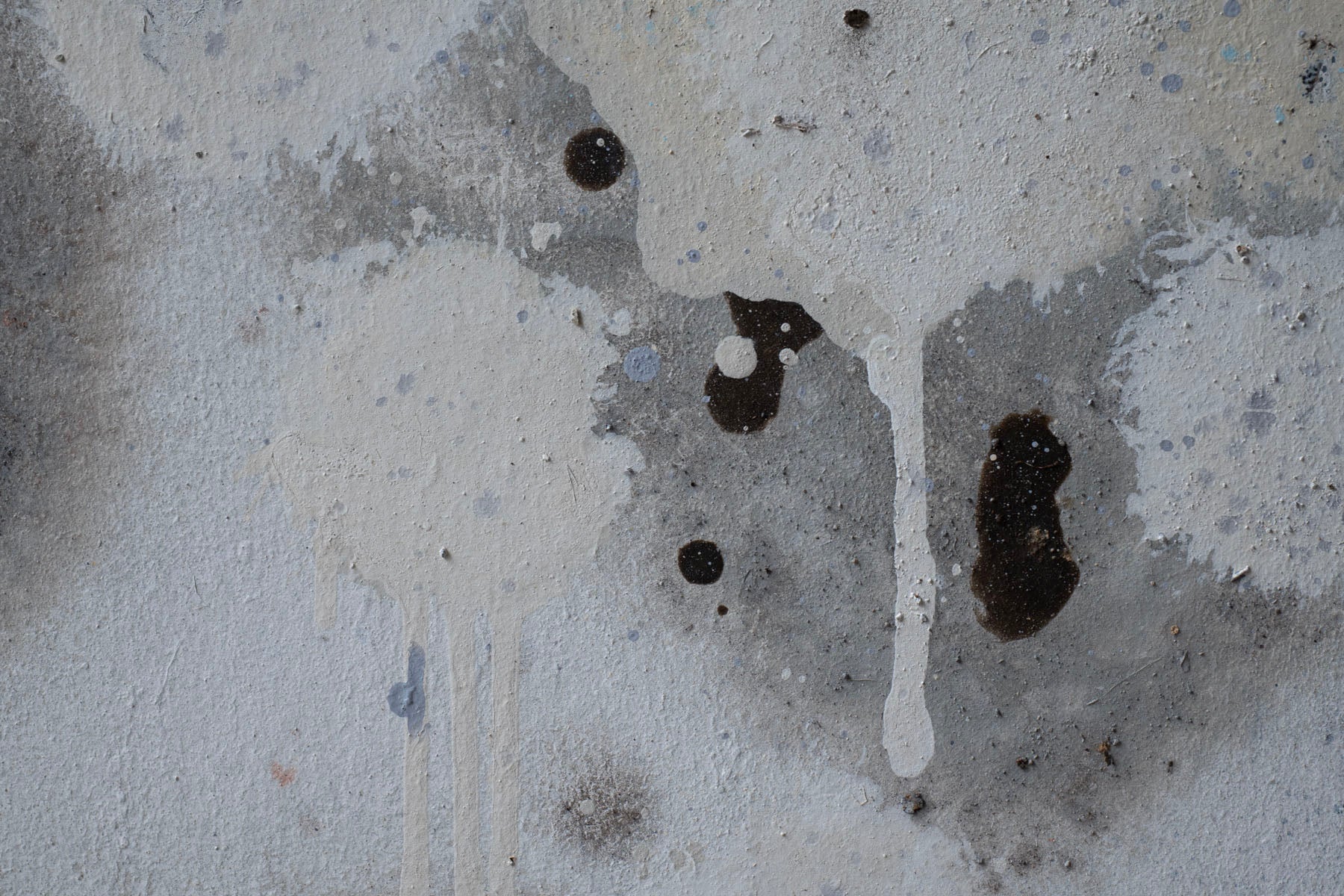 ハタノワタル 窓からの風景12号 53707463