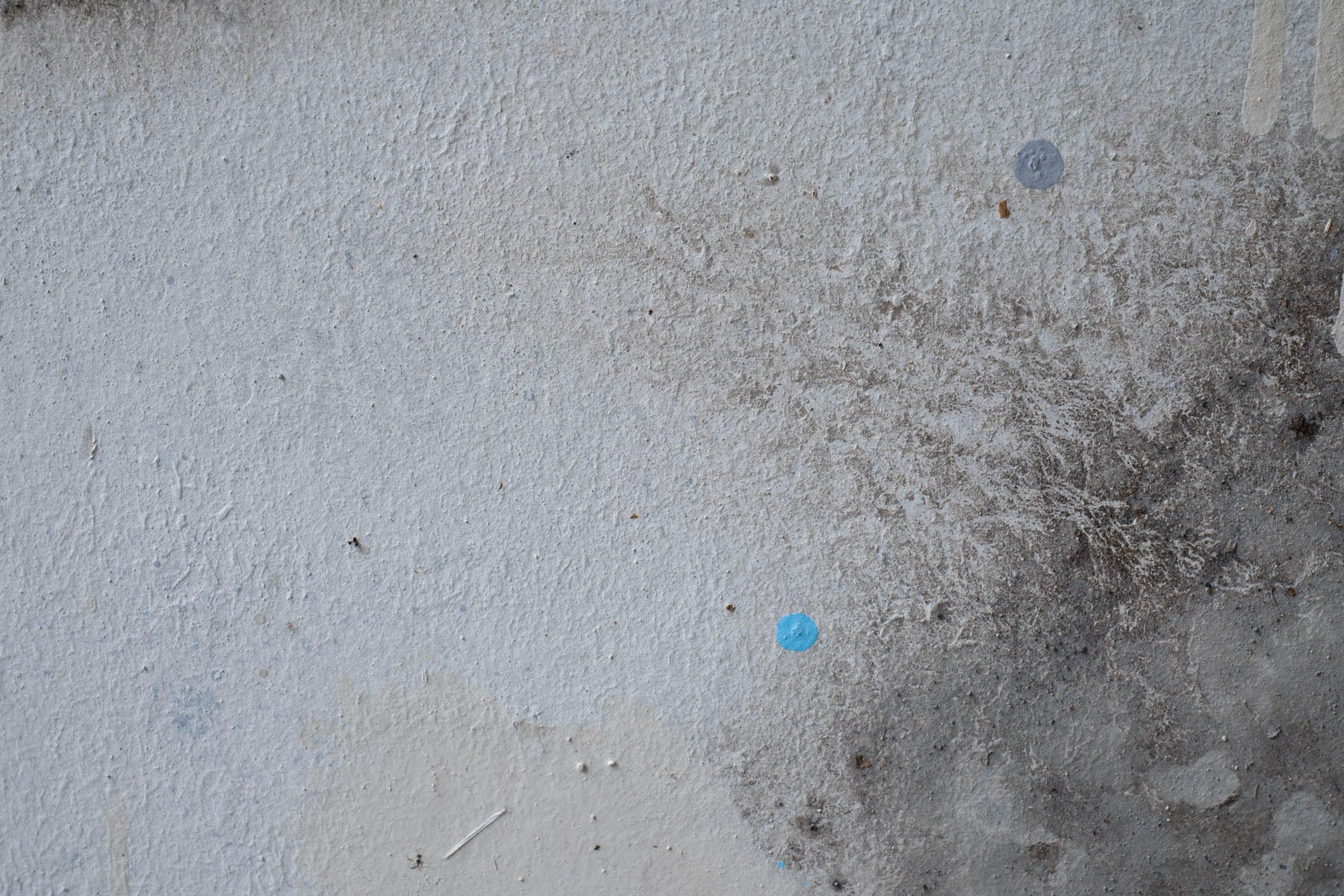 ハタノワタル 窓からの風景12号 53707463