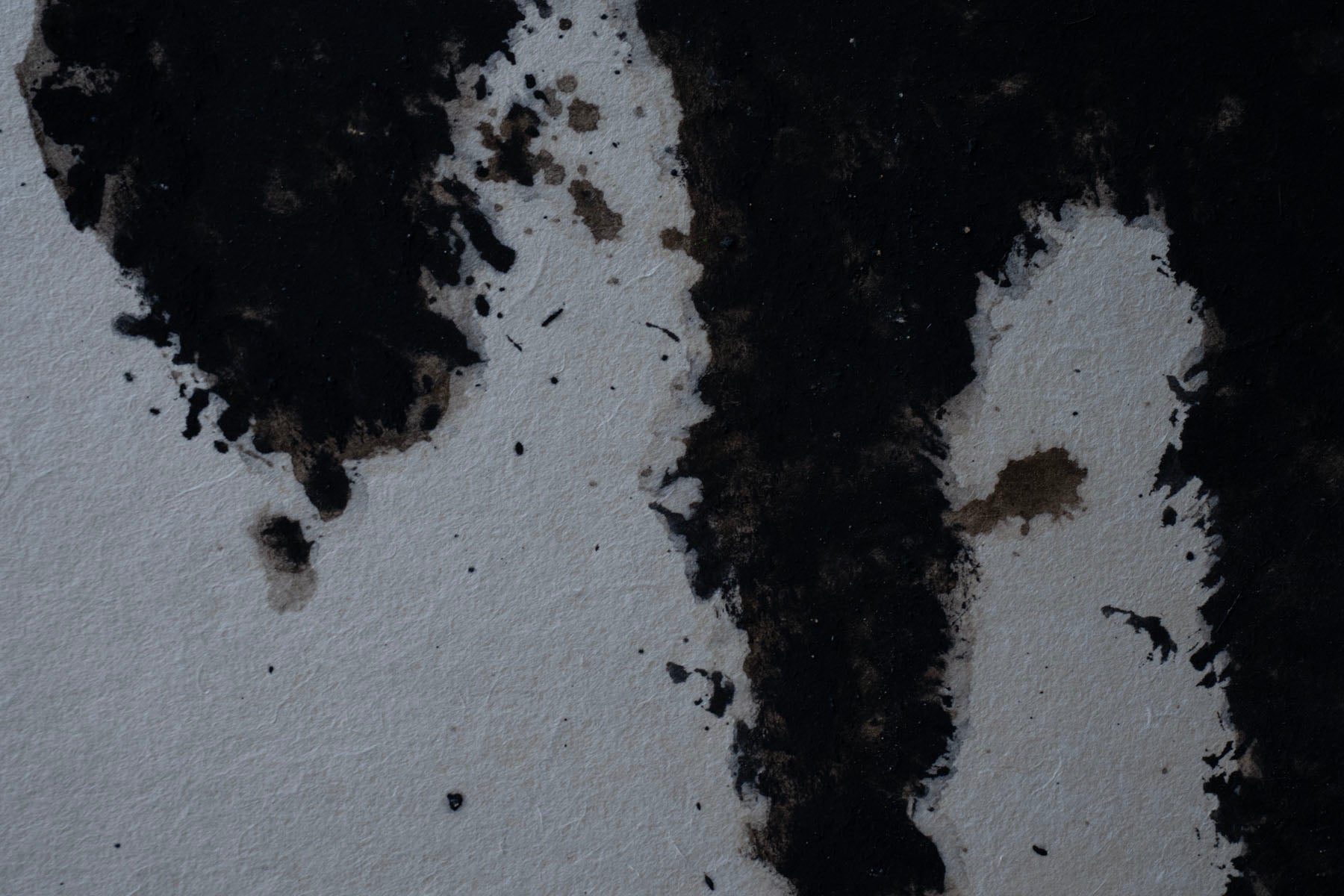 ハタノワタル 山10号 WASO2K