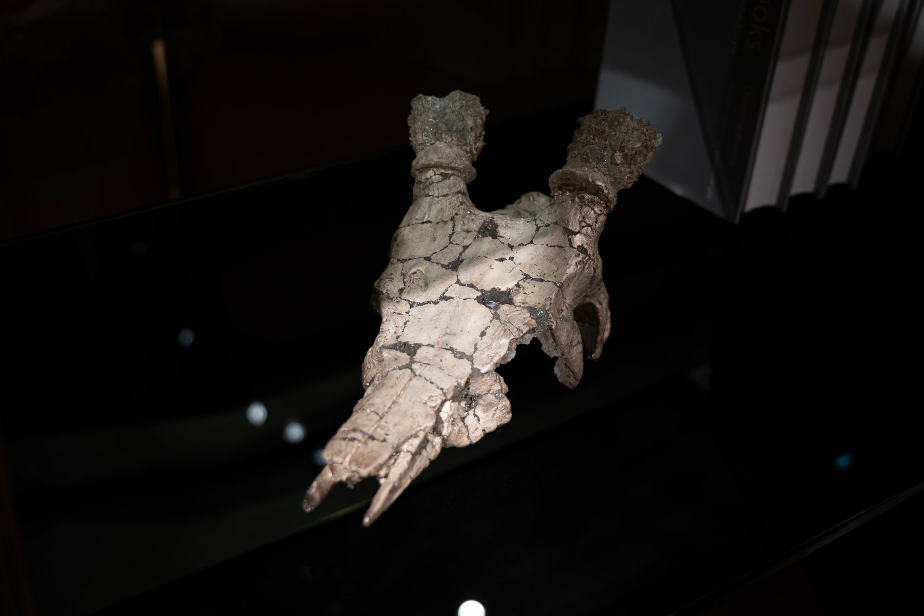 米津真理奈 Contact 08