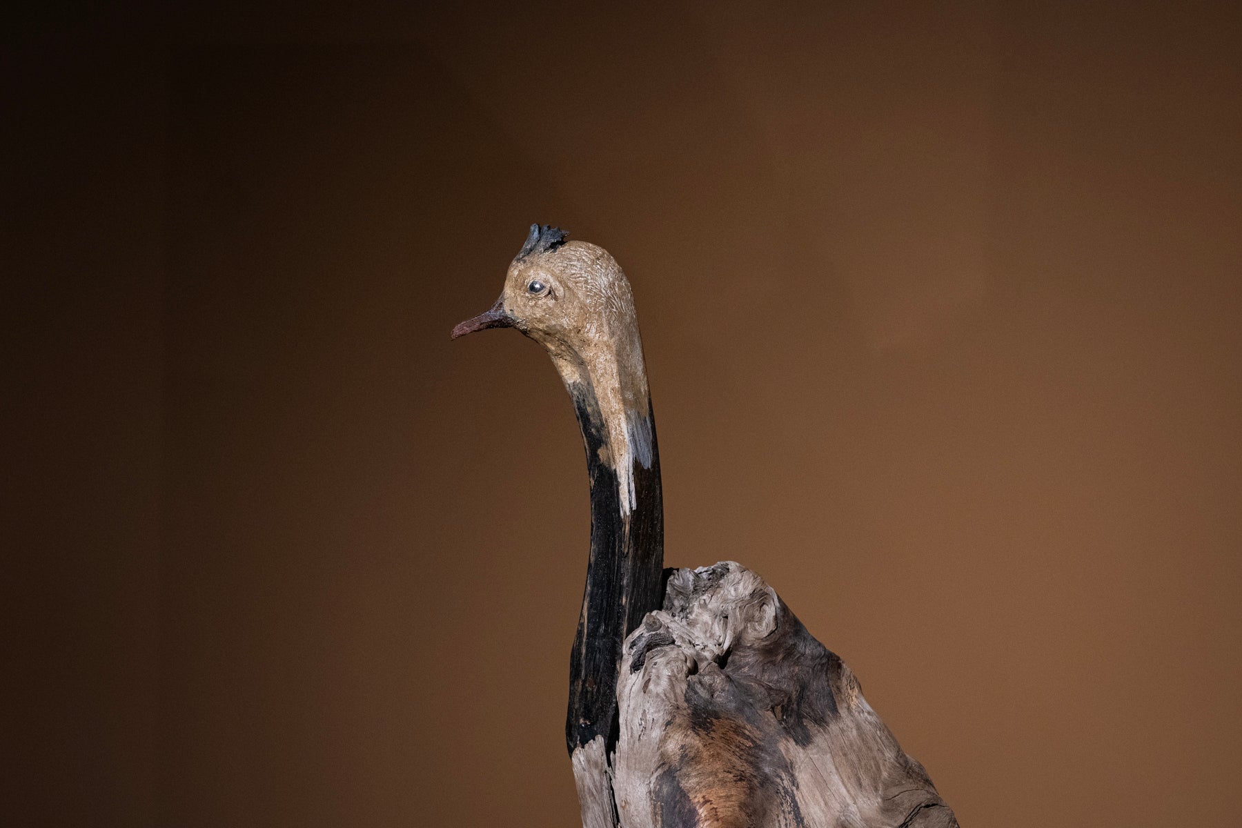 水田典寿 尾長鳥