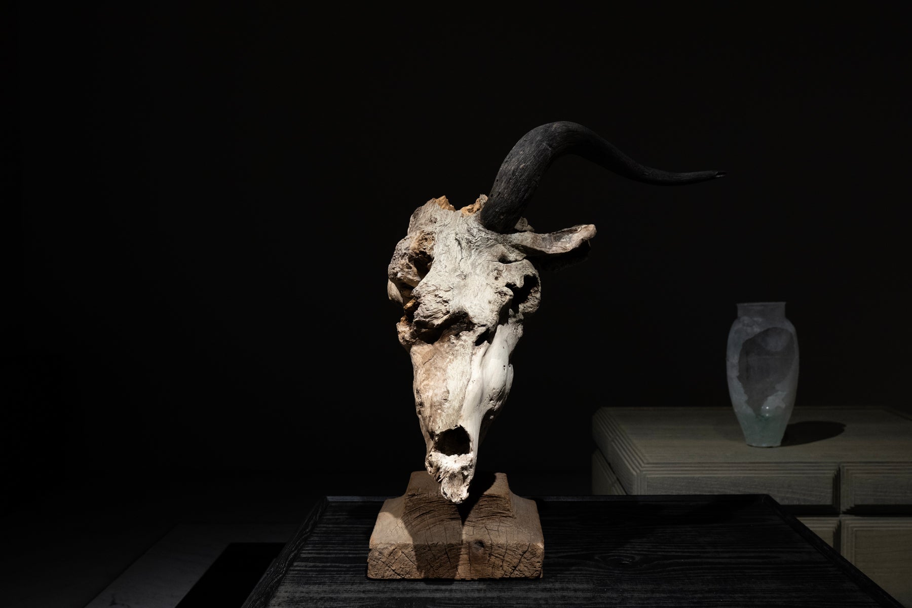 水田典寿 頭骨山羊