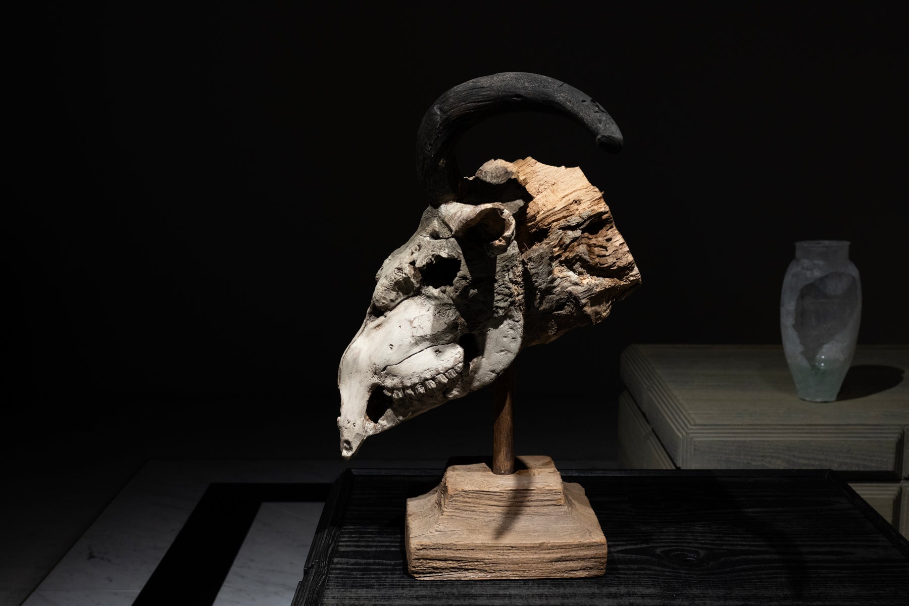 水田典寿 頭骨山羊