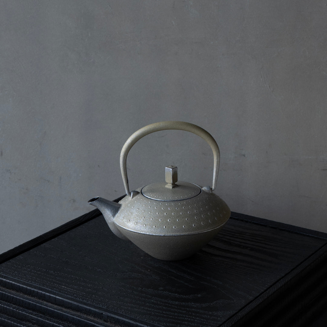 25-10S 空間鋳造 急須 A-Daiya Greige