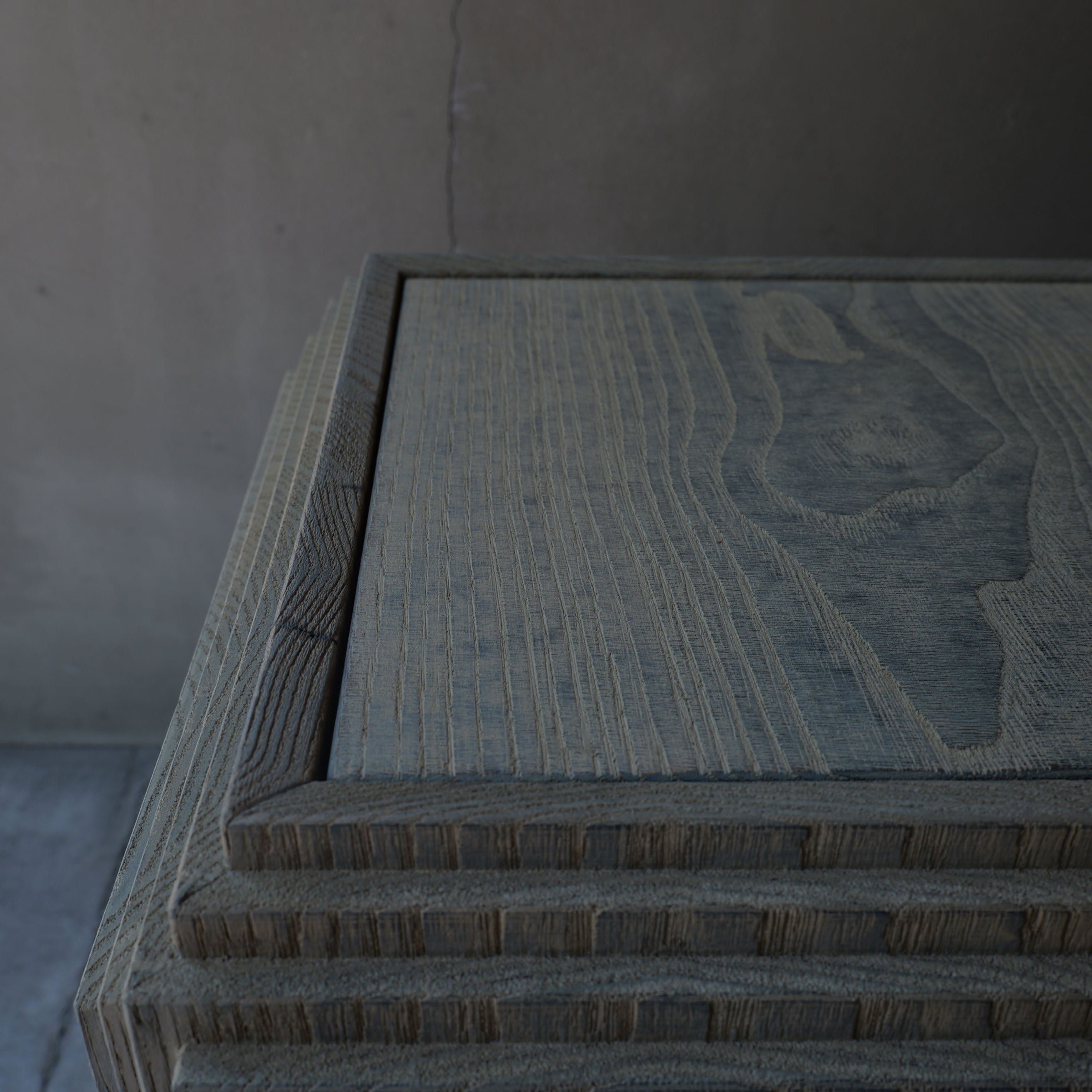 Fuyou Brion Table S