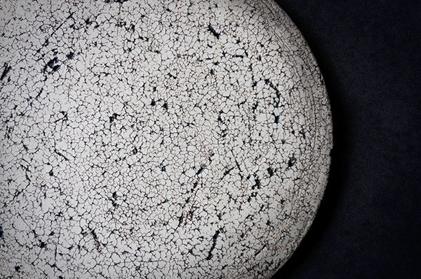New Arrival「中根 楽」