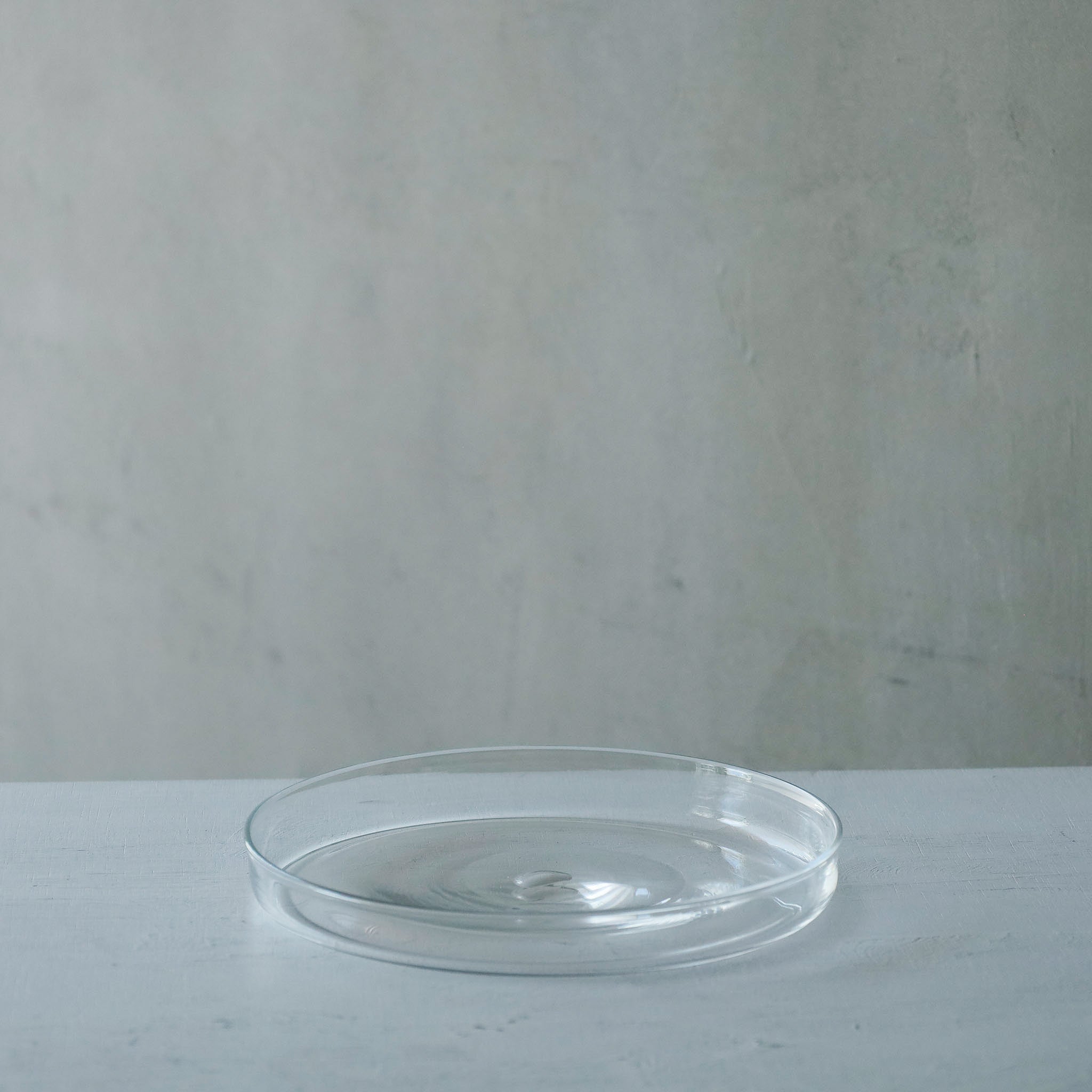●26-TE-145 Straight Rim Plate CLEAR