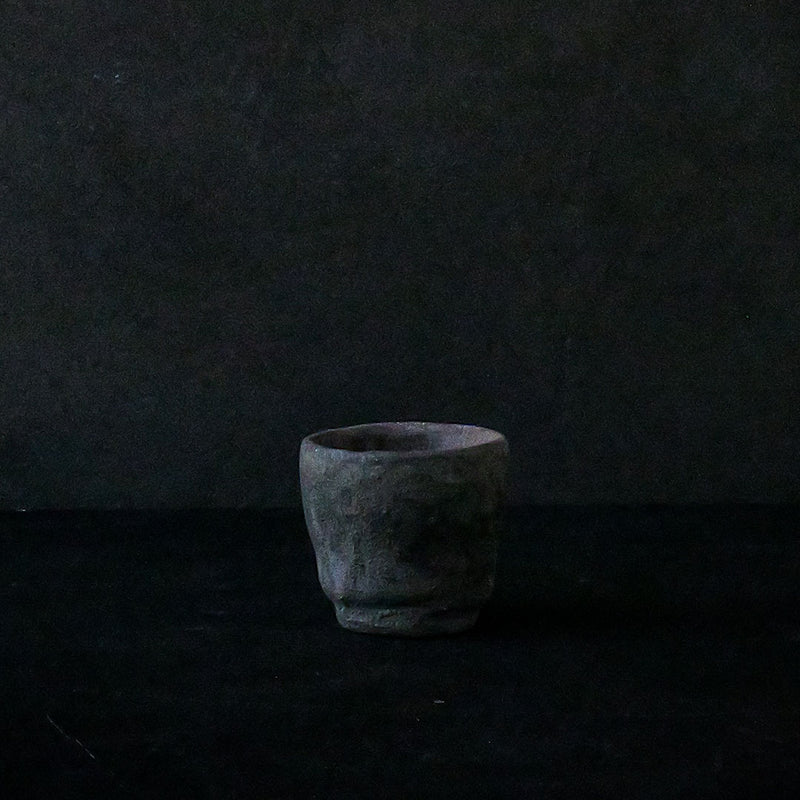 加地窯 25-51さけのみ