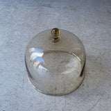 永木卓 dome AMBER