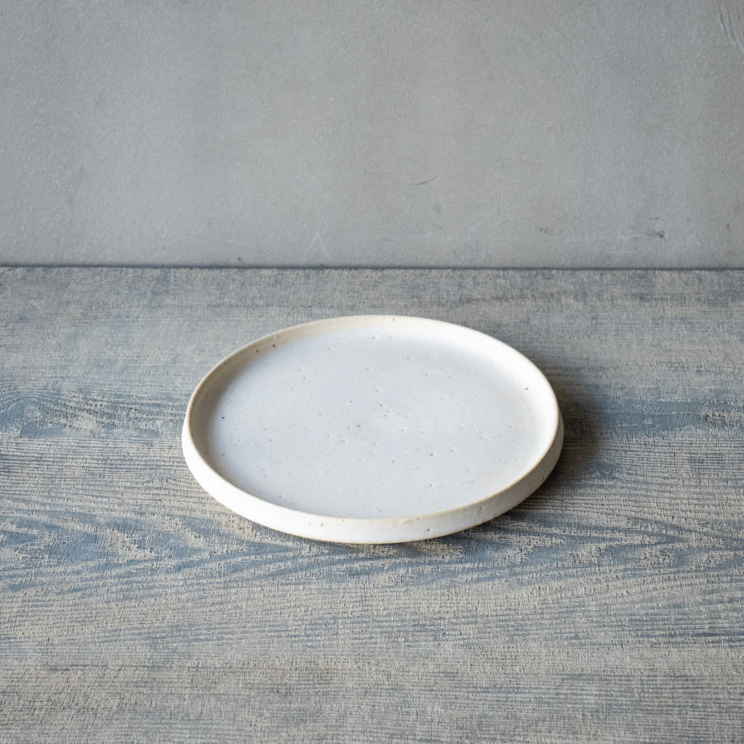 ●25-AF-62 平皿15cm 白 C