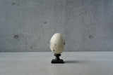 ●24-NM 29水田典寿  egg object
