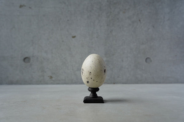 ●24-NM 29水田典寿  egg object