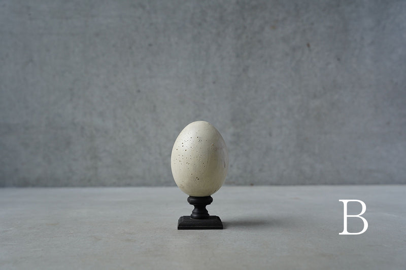 ●24-NM 29水田典寿  egg object