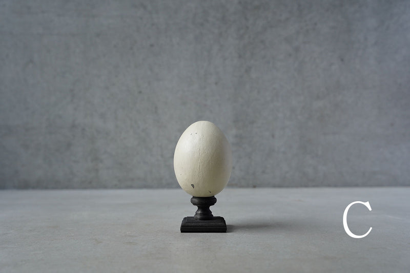 ●24-NM 29水田典寿  egg object