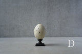 ●24-NM 29水田典寿  egg object