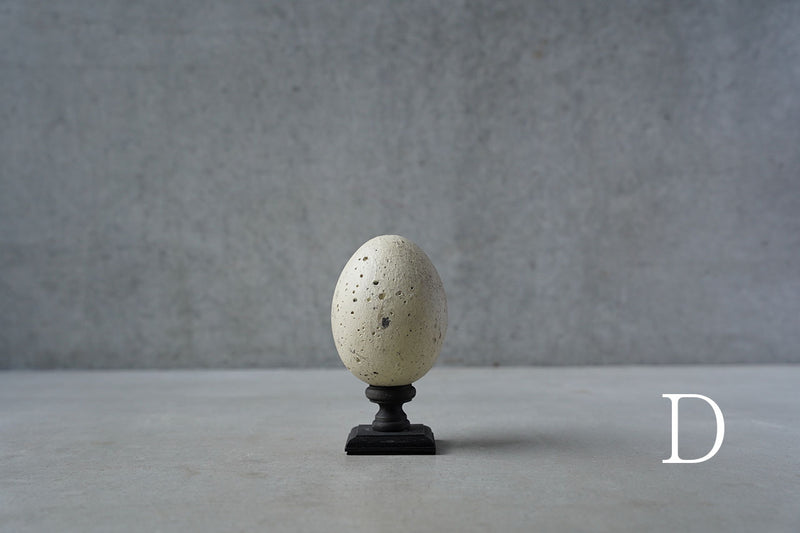 ●24-NM 29水田典寿  egg object