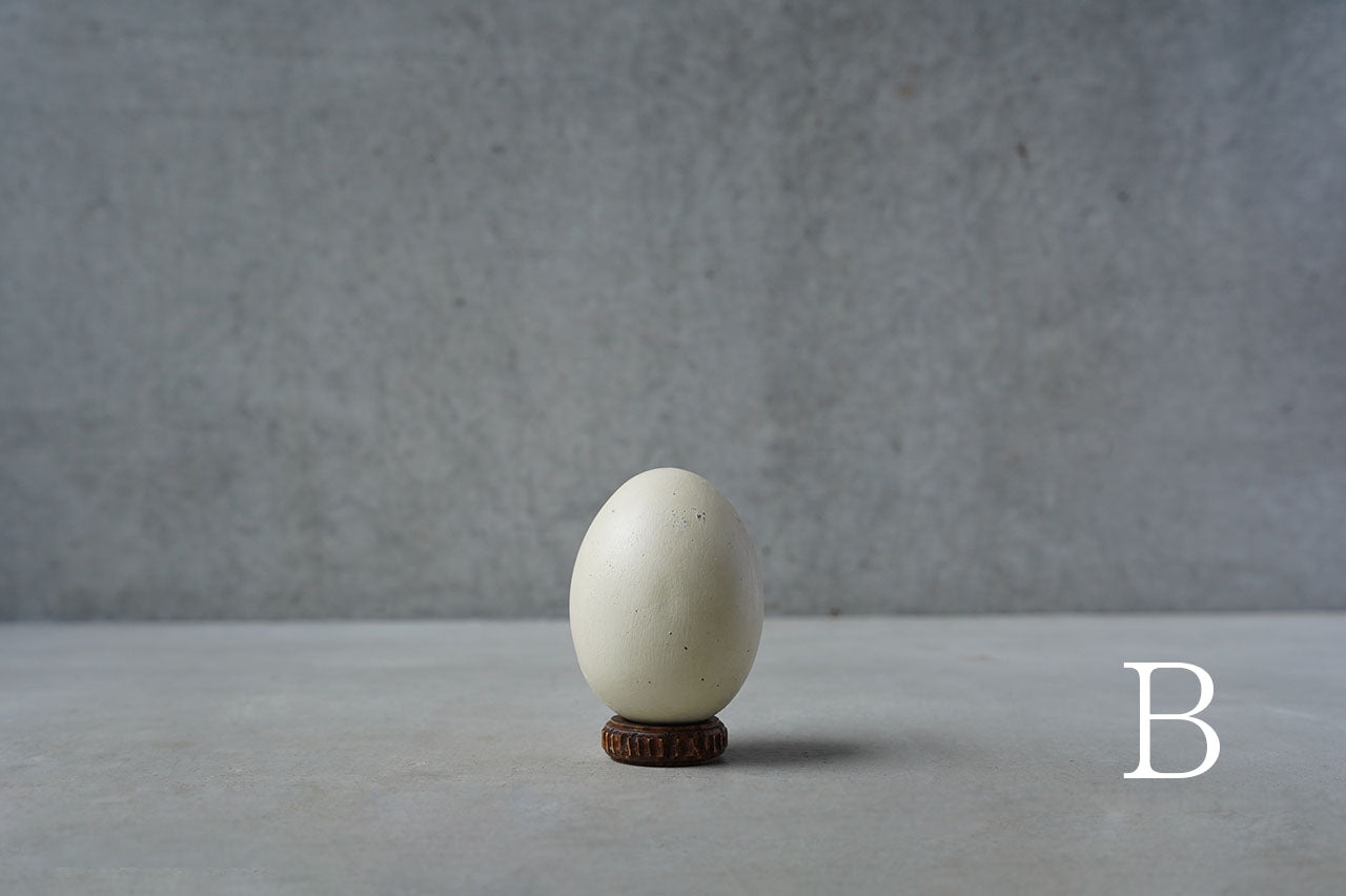 ●24-NM 30 Norihisa Mizuta / egg object (Low pedestal)