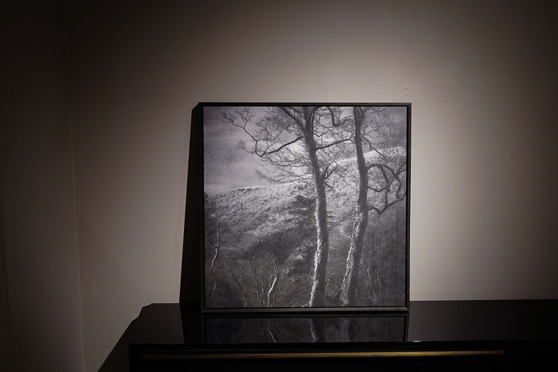 ●23-SG1-Photo Panel W700mm×H700mm hand Colored