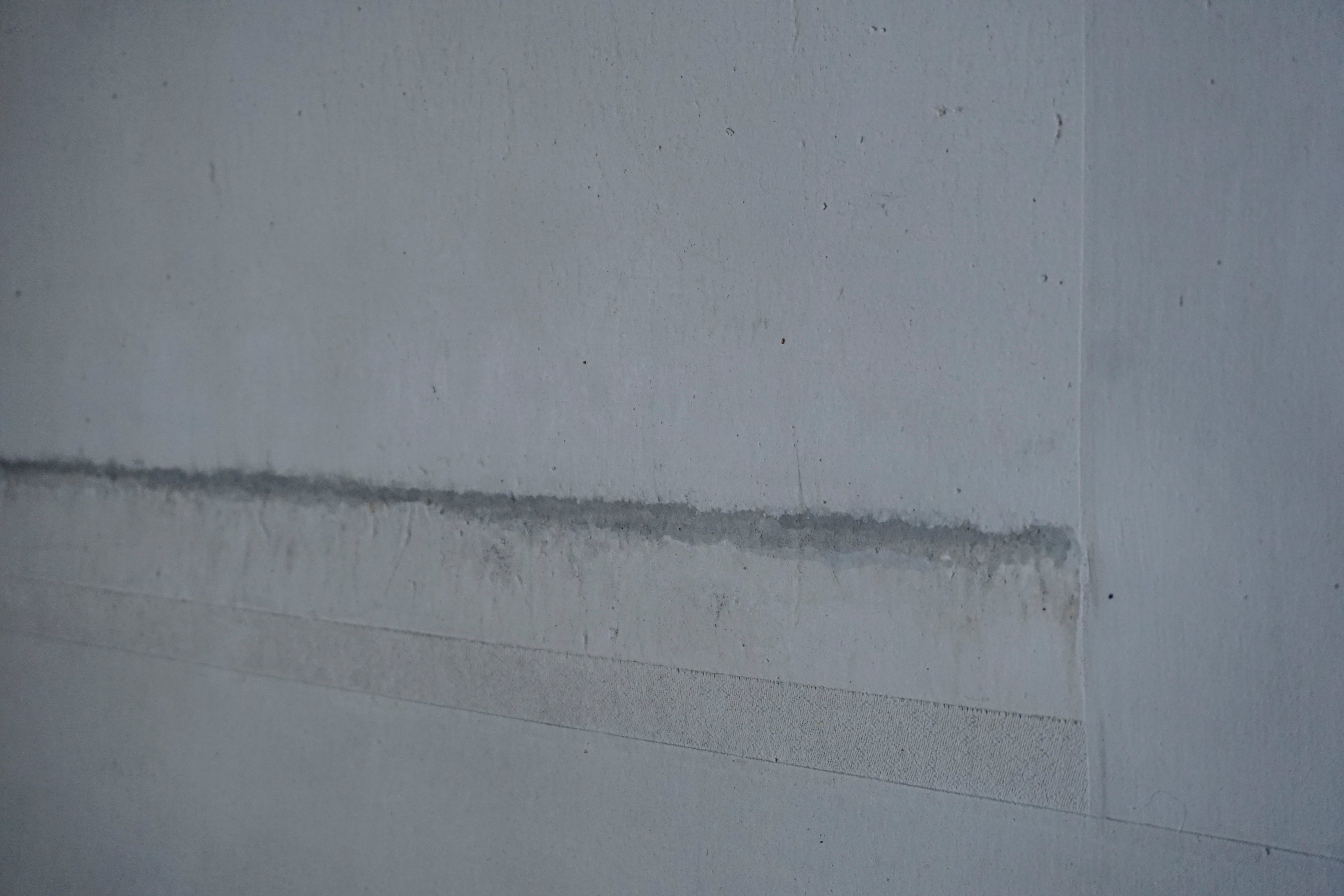 ハタノワタル MI-41窓からの風景 掛軸