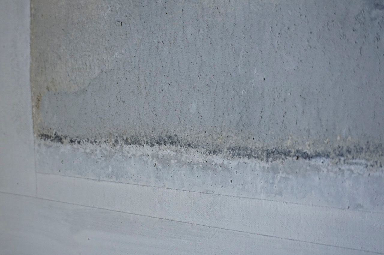 ハタノワタル窓からの風景 掛軸  MI-39