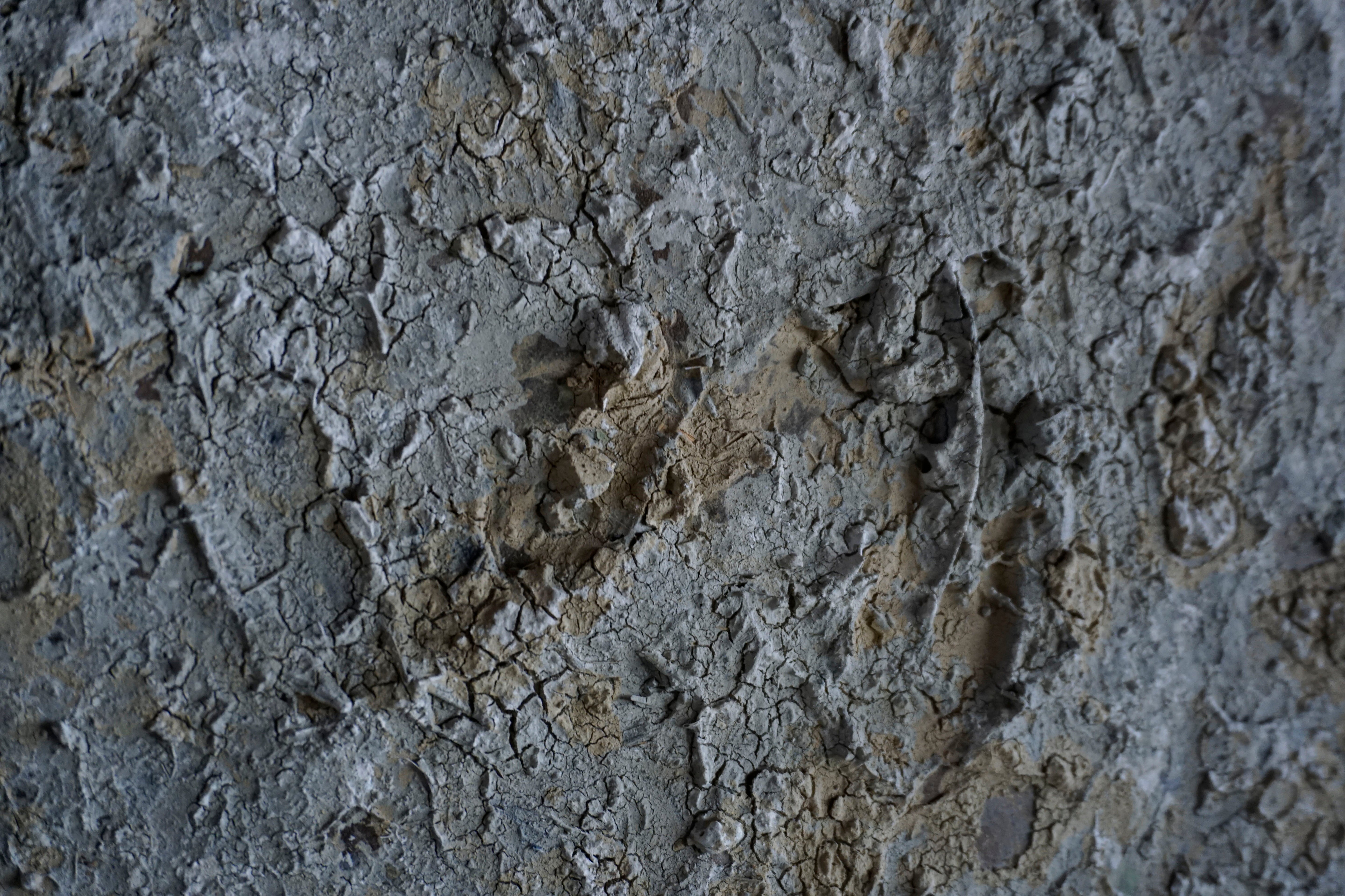 ハタノワタル 積み重なったもの9号 TC-31