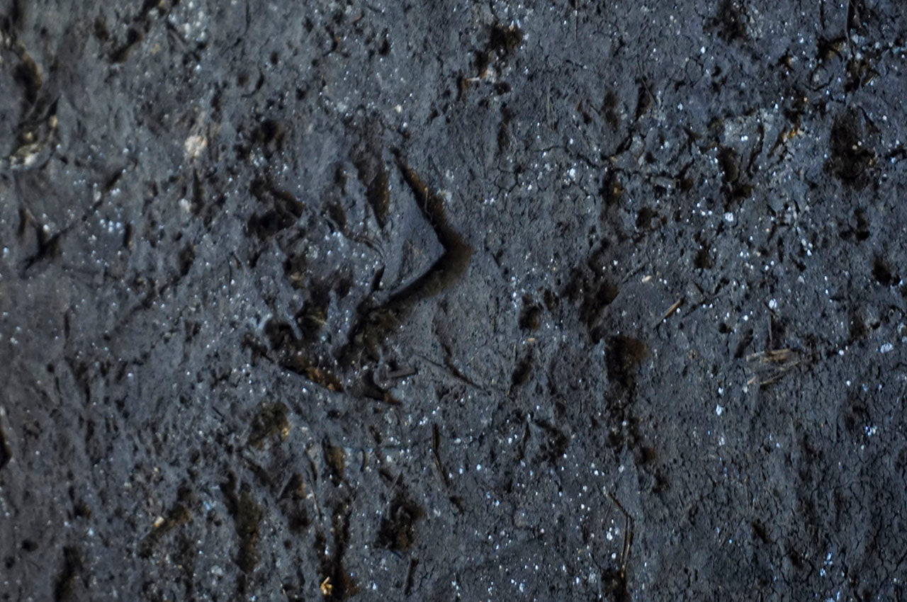 ハタノワタル 積み重なったもの30号 TC-13