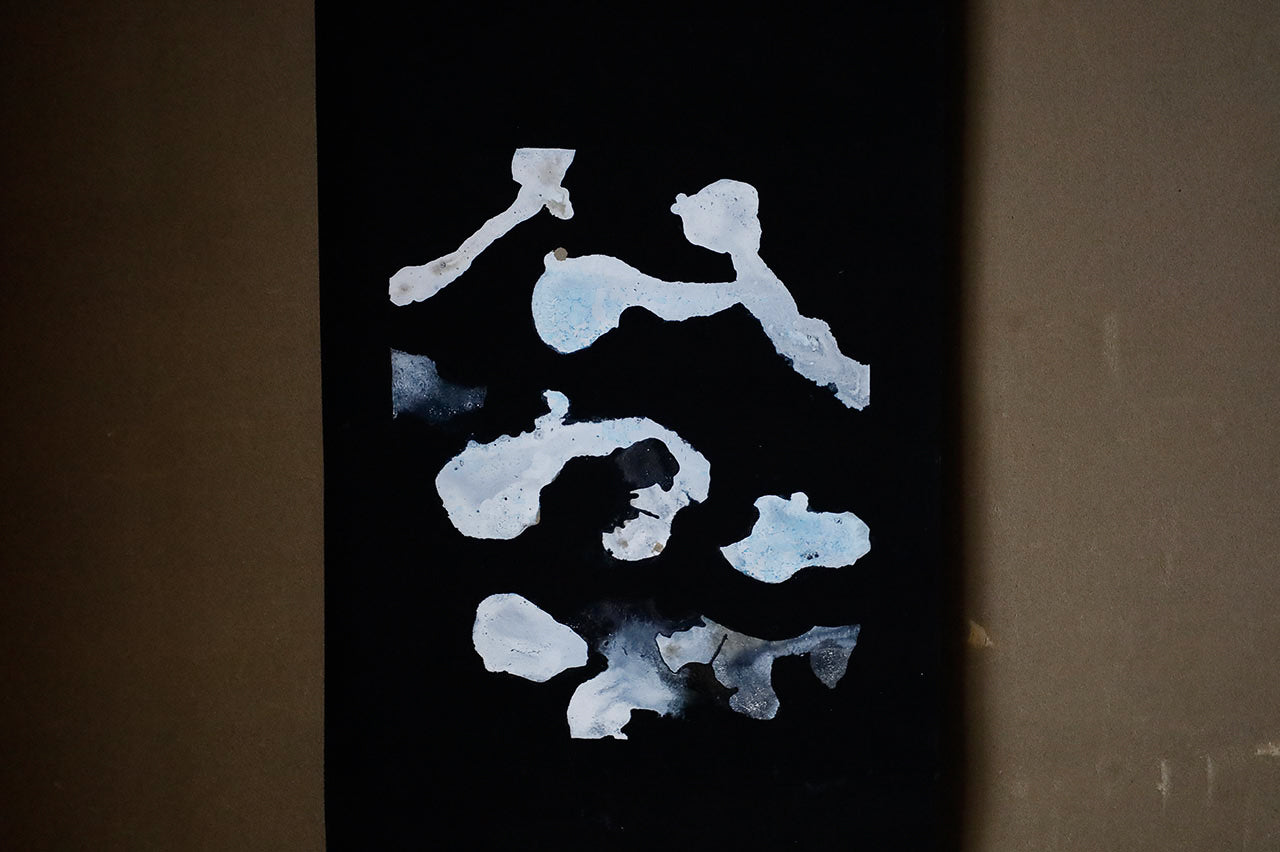 WA-4●領域 掛軸 RYOIKI　B