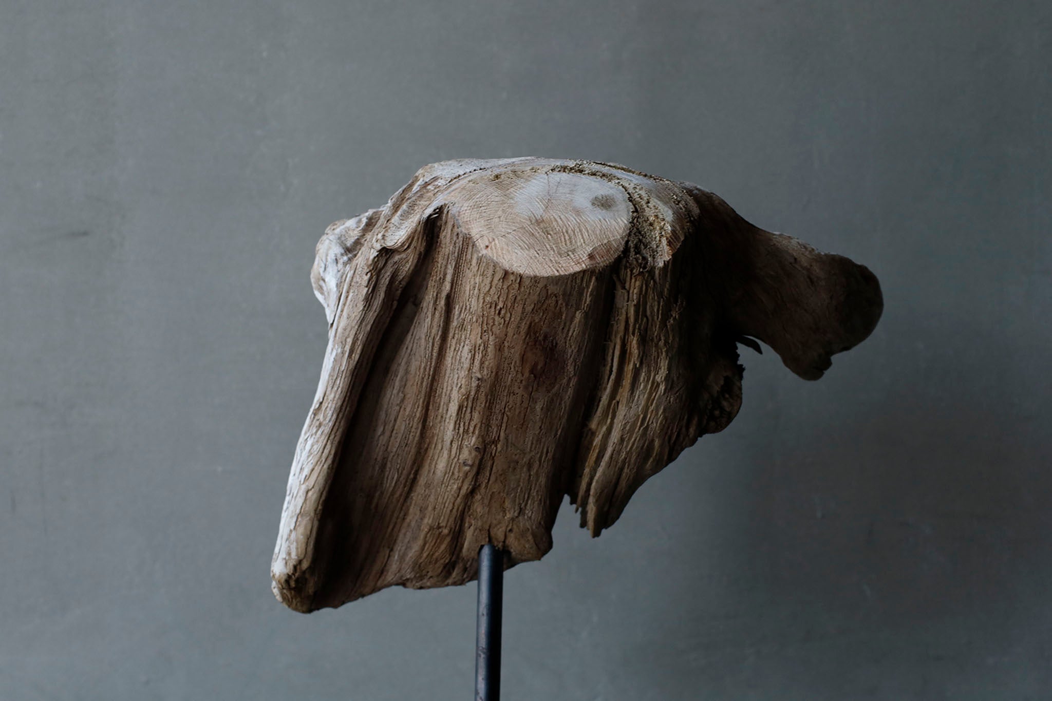 水田典寿 流木の山羊