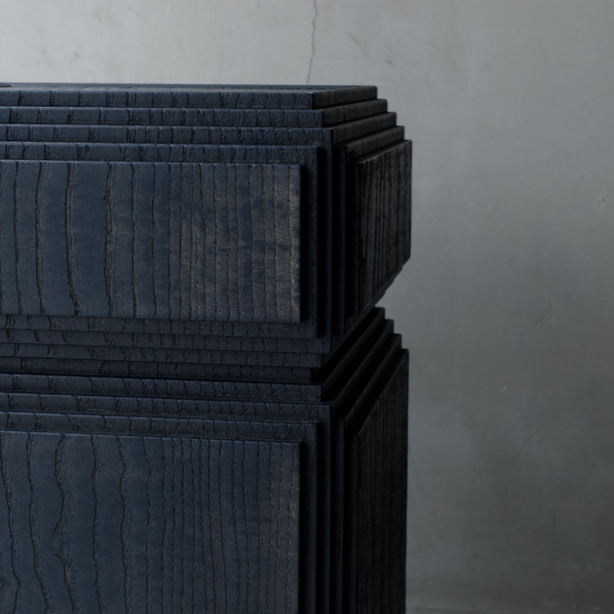 Fuyou Brion Trunk - Black