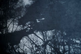 ●25-SG9-ART W900mm×H900mm hand colored