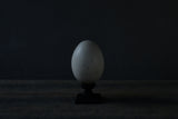 水田典寿 egg object