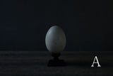 水田典寿 egg object