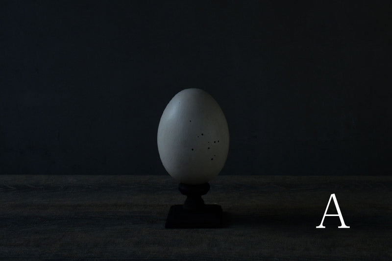 水田典寿 egg object