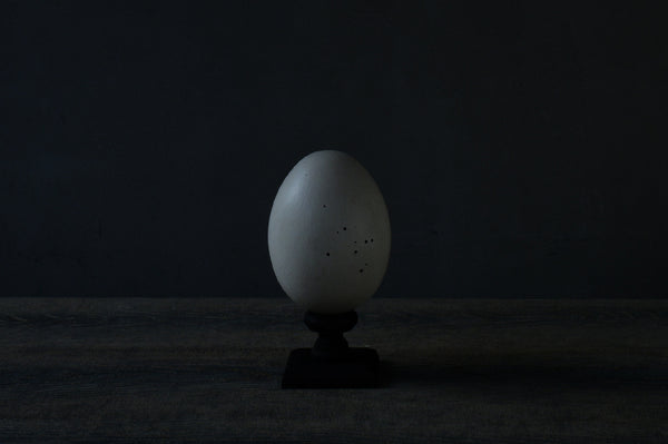 水田典寿 egg object