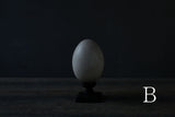 水田典寿 egg object