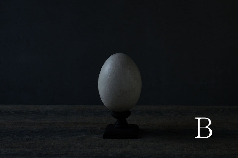 水田典寿 egg object