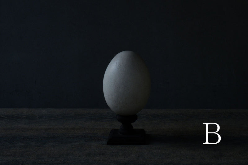 水田典寿 egg object