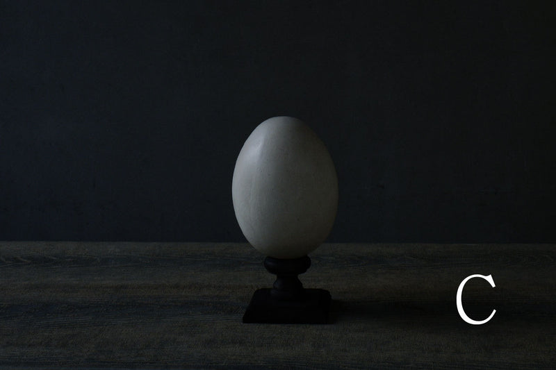 水田典寿 egg object