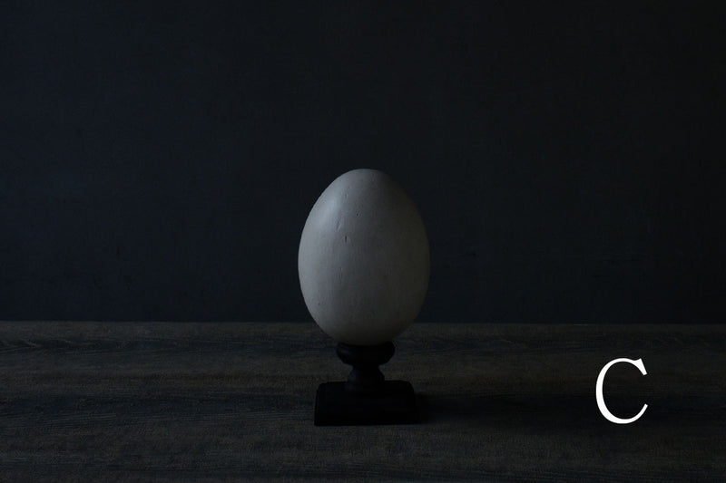 水田典寿 egg object