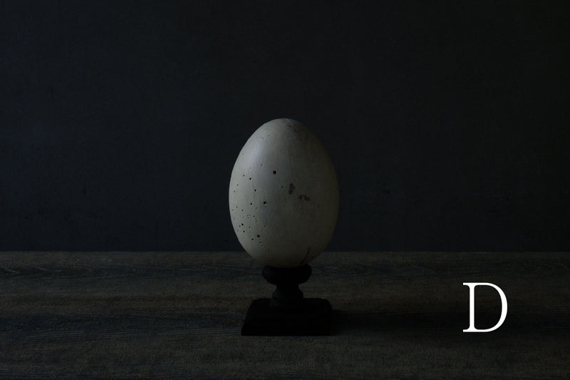 水田典寿 egg object