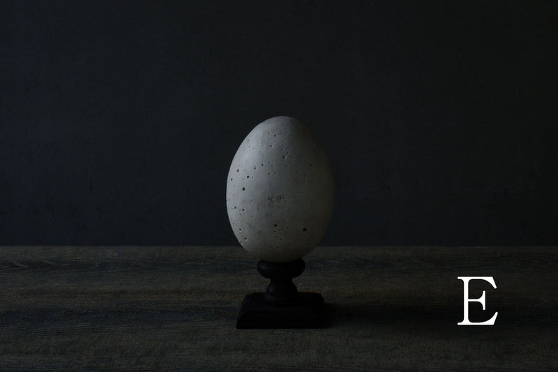 水田典寿 egg object