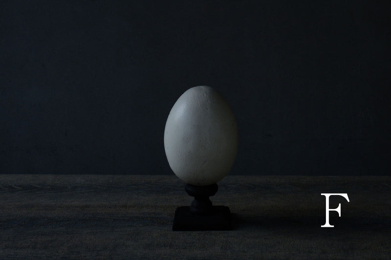 水田典寿 egg object